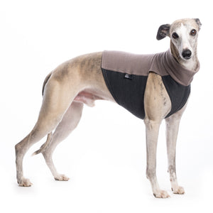 Pique Cotton Shirt / Top - DG Doggear 