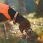 Collier protecteur - Nonstop Dogwear