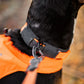 Collier protecteur - Nonstop Dogwear