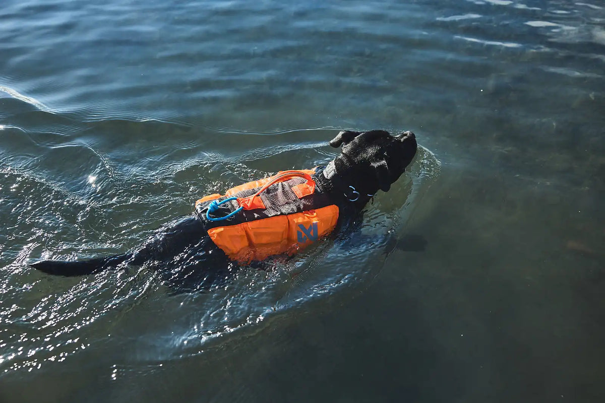 protector_life_jacket_feature_2