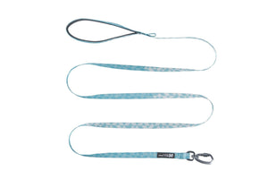Trail Quest Leash / Webbing Leash (Rachel Pohl) - Nonstop Dogwear
