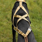 R-Back Zuggeschirr - VIP Dogwear
