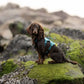 Ramble Harness Long - Nonstop Dogwear