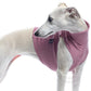 Cotton Shirt / Top - DG Doggear