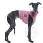 Cotton Shirt / Top - DG Doggear