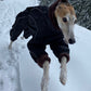 Rose & Emet 02 - Sofadogwear