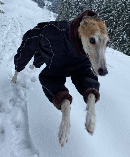 Rose & Emet 02 - Sofadogwear