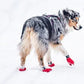 Long distance booties - non-stop dogwear