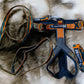 Rachel Pohl Edition Setangebote - Nonstop Dogwear