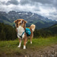 Geräumiger Hunderucksack / Trail quest Dog Backpack - Nonstop Dogwear