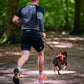 Rush Belt - Nonstop Dogwear
