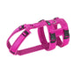 Safety harness "Safety" NORMAL sizes - Annyx
