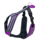 Trail Harness / Safety Leading and Pulling Harness - Uwe Radant | SX