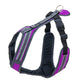 Trail Harness / Safety Lead and Pull Harness - Uwe Radant | S/M