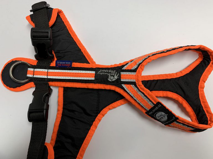 Trail Harness / Safety Lead and Pull Harness - Uwe Radant | S/M