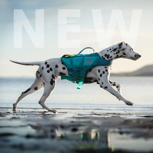 Gilet de sauvetage « Protector Life Jacket » - Nonstop Dogwear