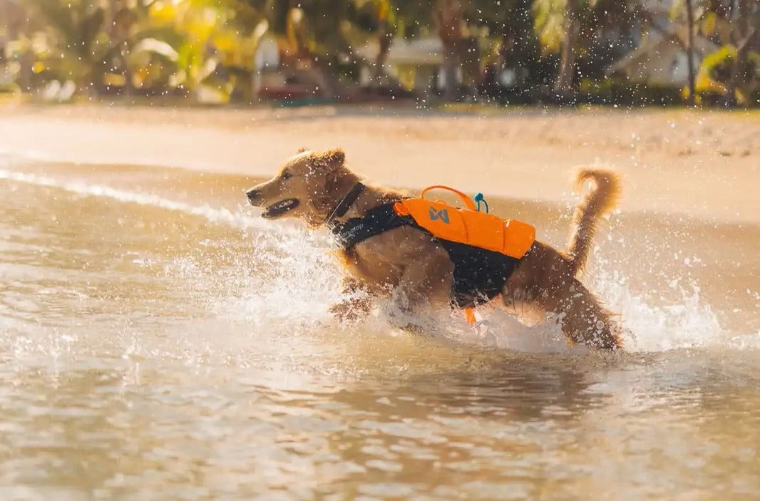 schwimmweste für titel