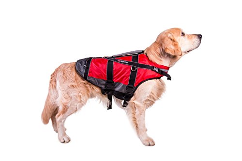 schwimmweste retriever