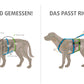 Safety harness "Safety" NORMAL sizes - Annyx