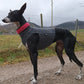 Baumwoll Shirt / Top - DG Doggear