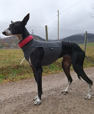 Cotton Shirt / Top - DG Doggear