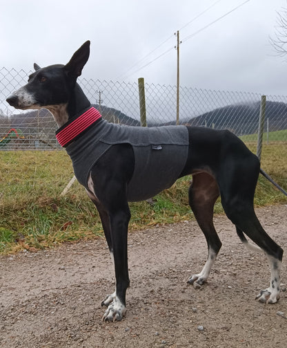 Cotton Shirt / Top - DG Doggear