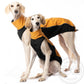 Softshell Top Jumper - DG Doggear 