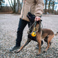 Laisse élastique de randonnée / ligne de traction de trekking - Nonstop Dogwear
