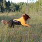 Protector Suit (Schutz Schnee, Schlamm, Zecken) - Nonstopdogwear