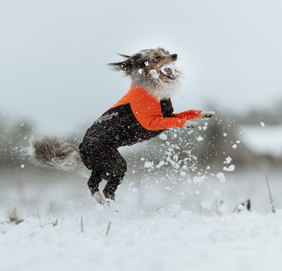 Protector Suit (Schutz Schnee, Schlamm, Zecken) - Nonstopdogwear
