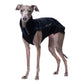 Outdoor Tek Top (Softshell) - DG Doggear