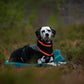 Trekking Fleece Dog Jacket - Nonstop Dogwear