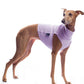 Cotton Shirt / Top - DG Doggear