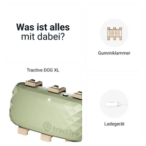 Dog XL GPS Tracker - Tractive 