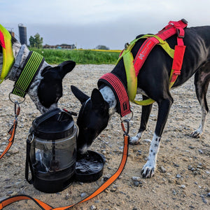 Water trough for on the go - Tierpfoten 