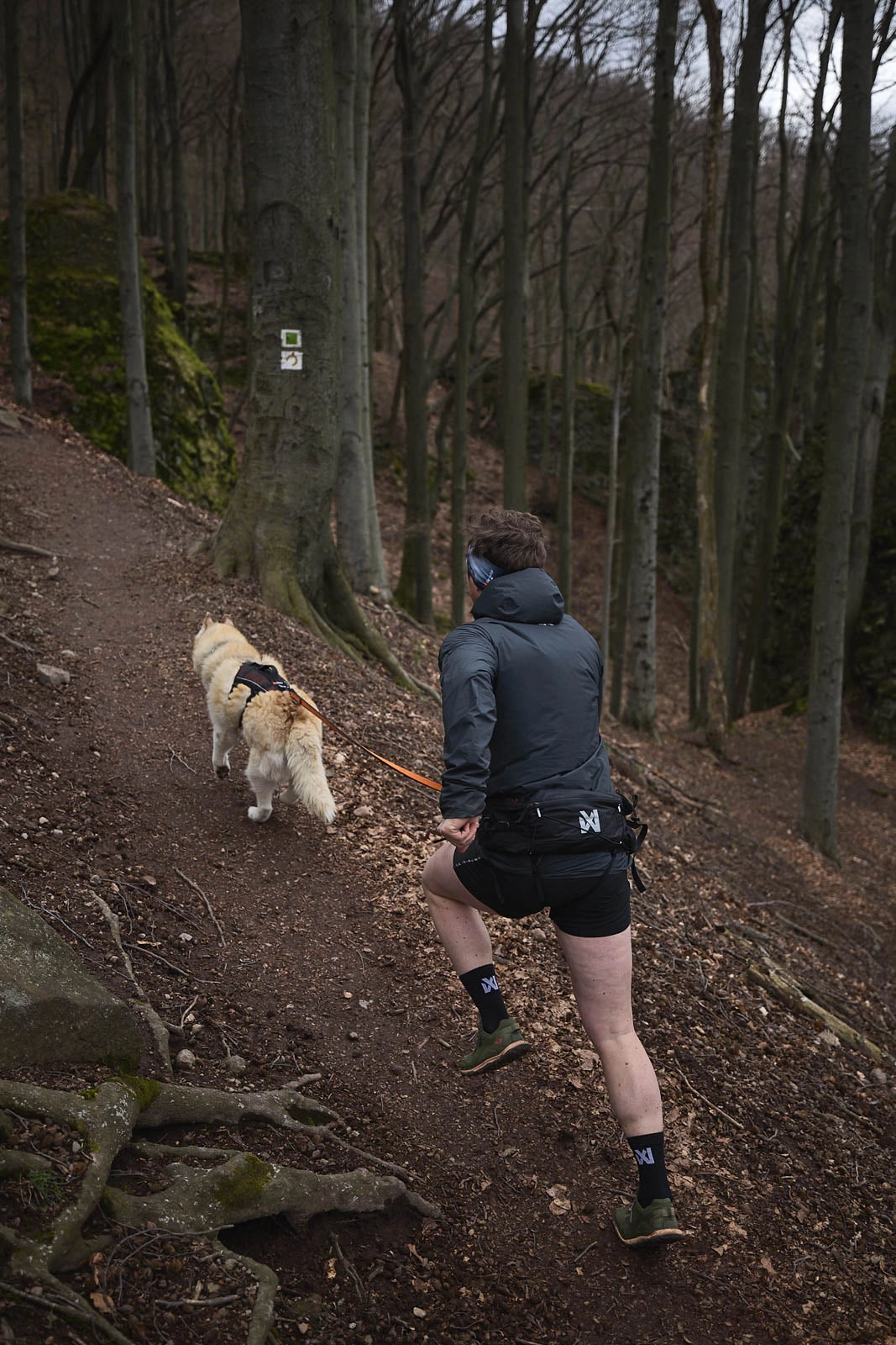 trail light 1