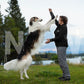 Pantalon de randonnée (femme/homme) - Nonstop Dogwear