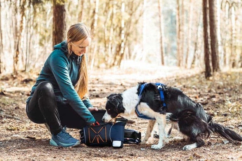 trekking belt box