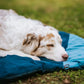 Trekking Dog Bed (Trekking Matte) - Nonstop Dogwear