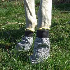 universal bootie 2
