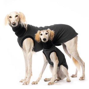 Urban jumper cotton - DG Doggear 