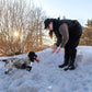Obedience Vest (Women/Men) - Nonstop Dogwear
