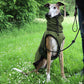 windhund pro 4