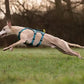 Ramble Harness Long - Nonstop Dogwear
