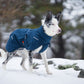 Glacier Wool Jacket 2.0 - Nonstop Dogwear