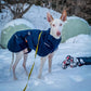 Glacier Wool Jacket 2.0 - Nonstop Dogwear