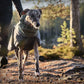 Glacier Wool Jacket 2.0 - Nonstop Dogwear