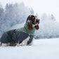 Glacier Wool Jacket 2.0 - Nonstop Dogwear