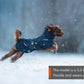 Glacier Wool Jacket 2.0 - Nonstop Dogwear
