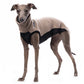 Outdoor jumper (Tecnostretch + Tecnowool) - DG Doggear